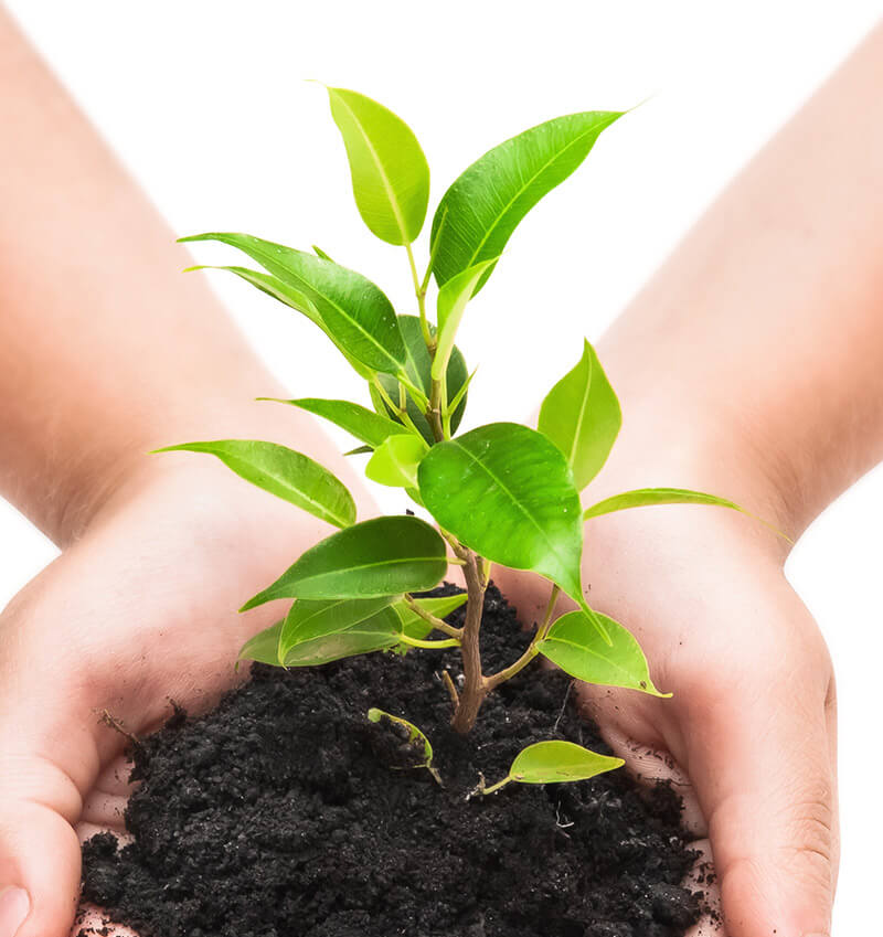 Agronomic synergies